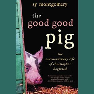 Last Wednesday Book 